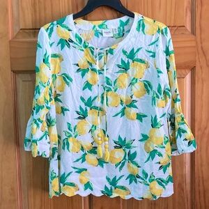 Rafaella women’s size small dotted Swiss white blouse with lemons, feminine top